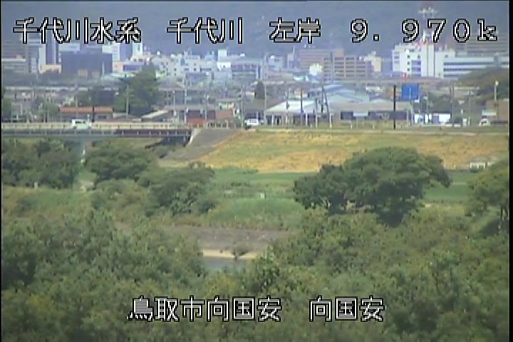向国安