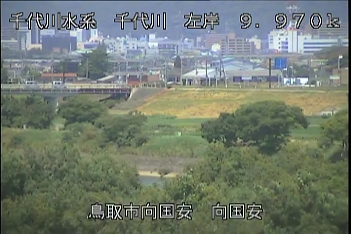 向国安