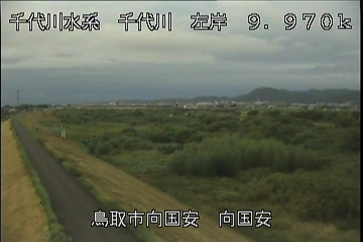 向国安