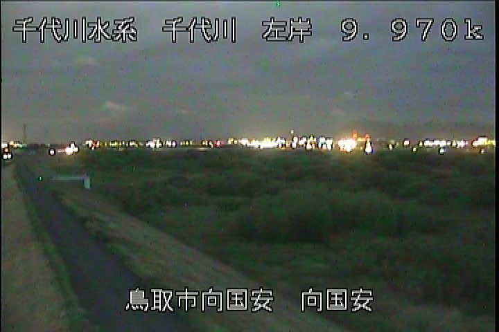 向国安