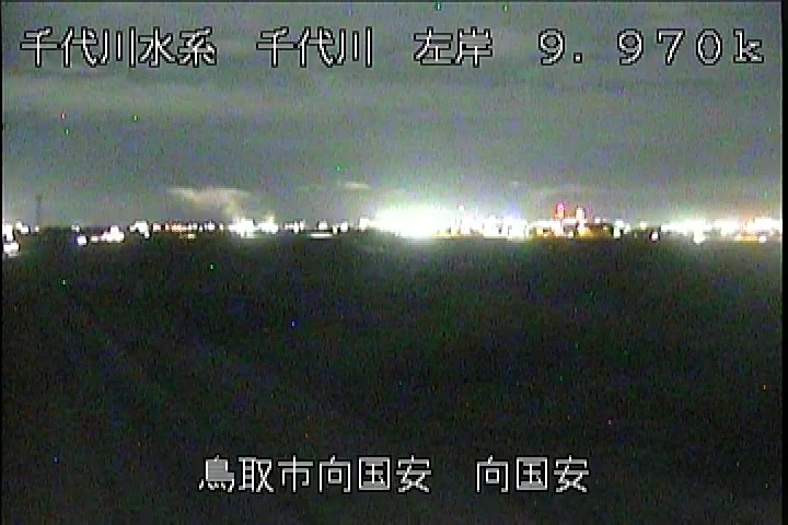 向国安