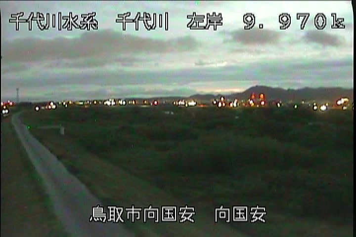 向国安