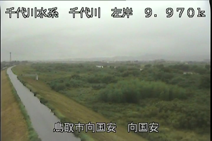 向国安