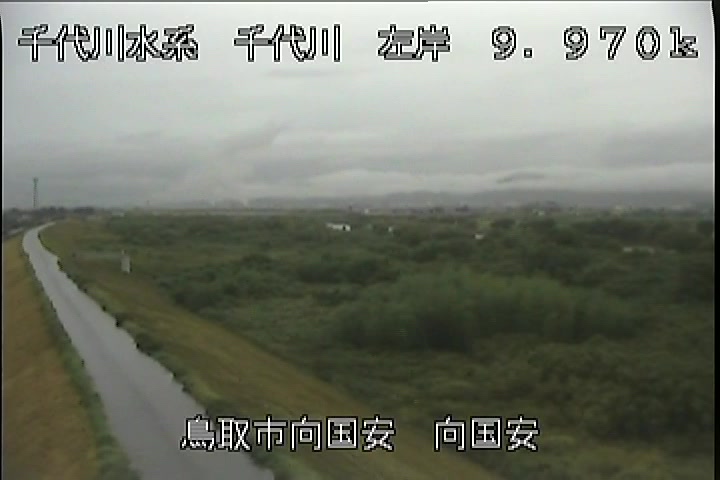 向国安