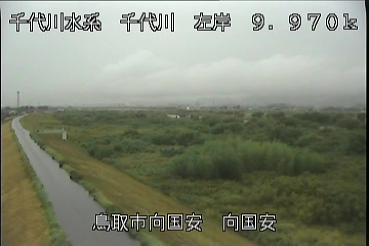 向国安