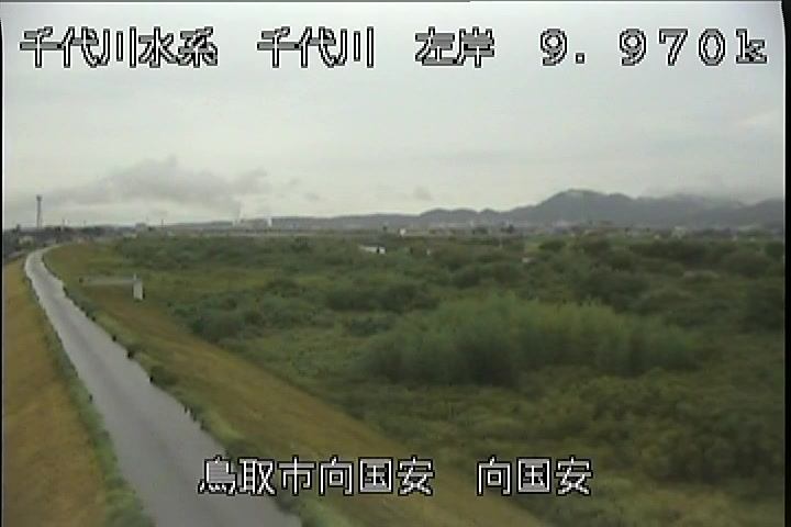 向国安