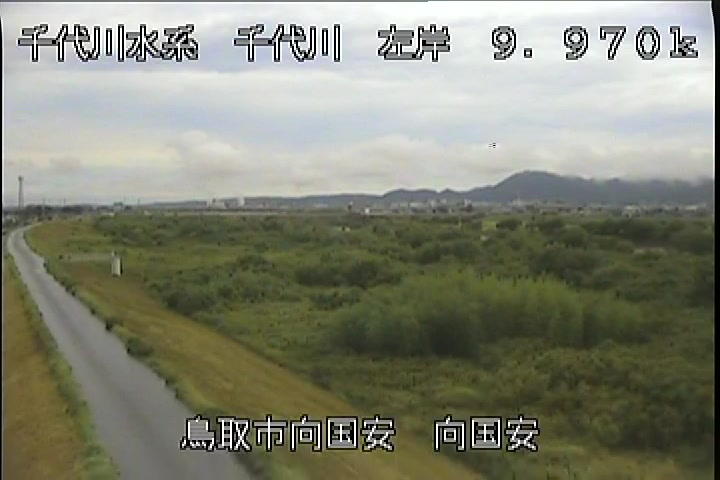 向国安