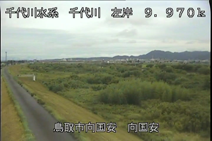 向国安