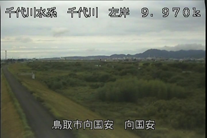 向国安