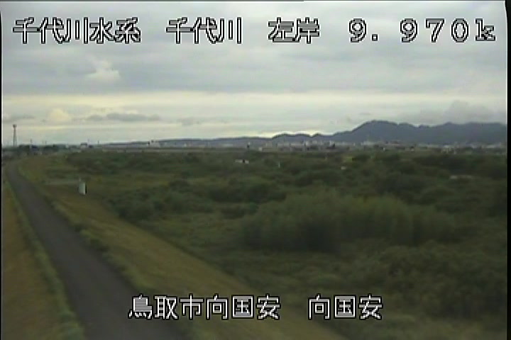 向国安