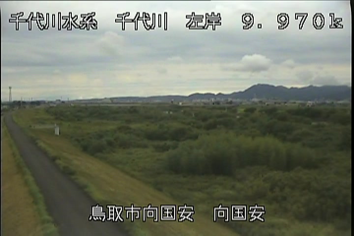 向国安