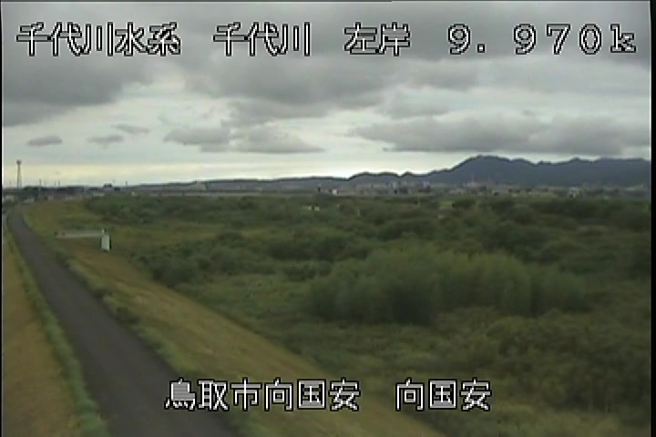 向国安
