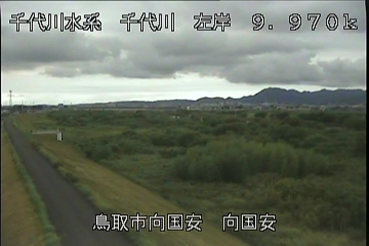 向国安