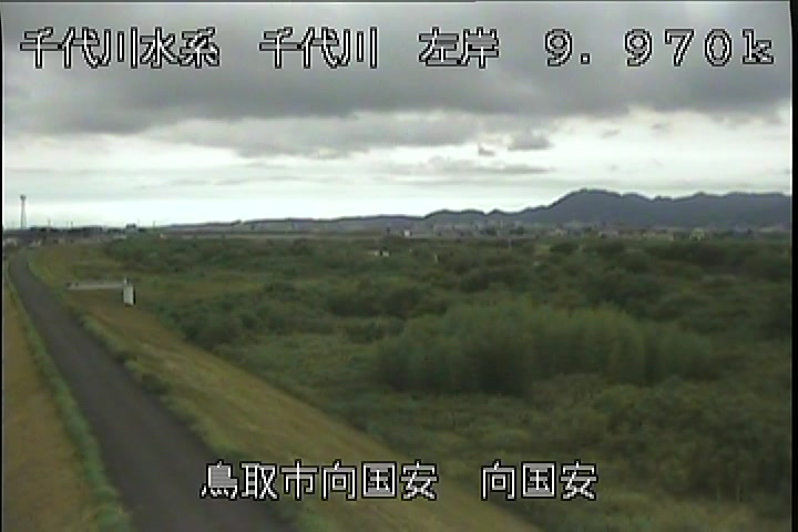 向国安