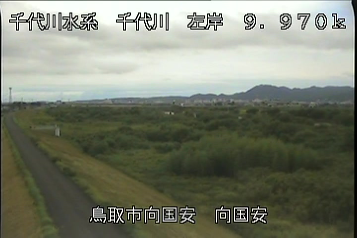 向国安