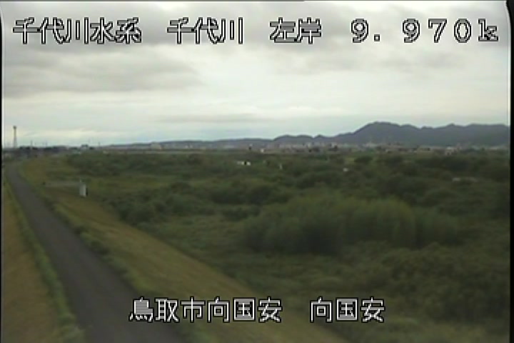 向国安
