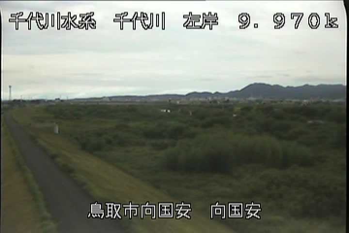向国安