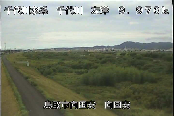 向国安