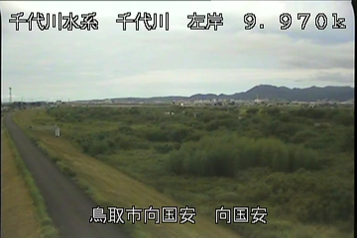 向国安