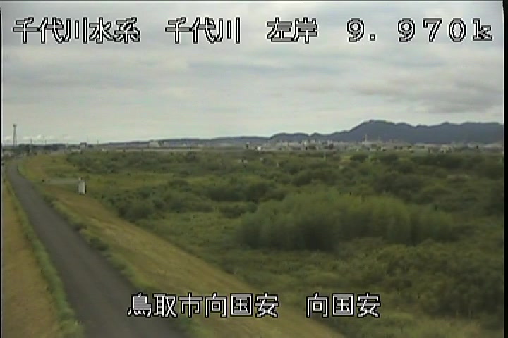 向国安