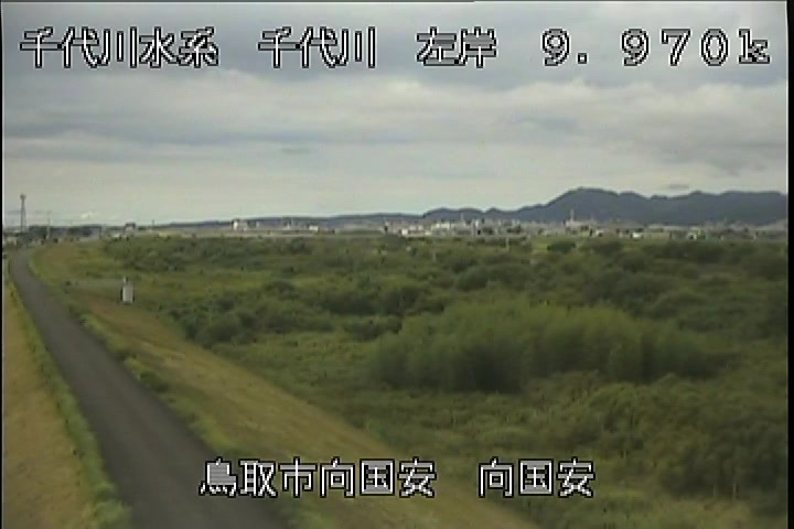 向国安