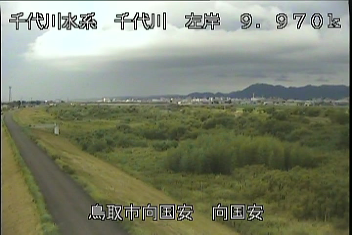 向国安
