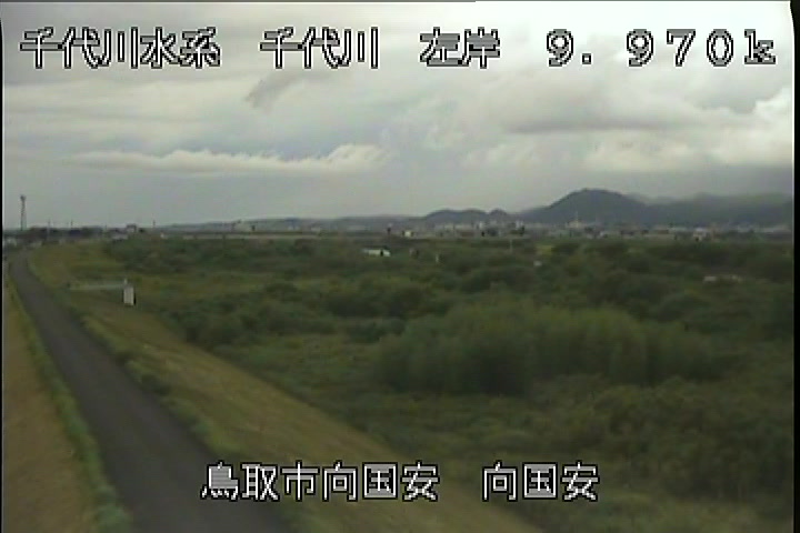 向国安