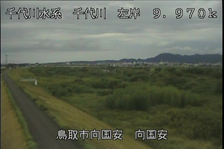 向国安