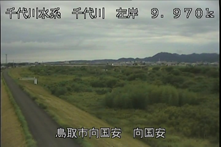 向国安
