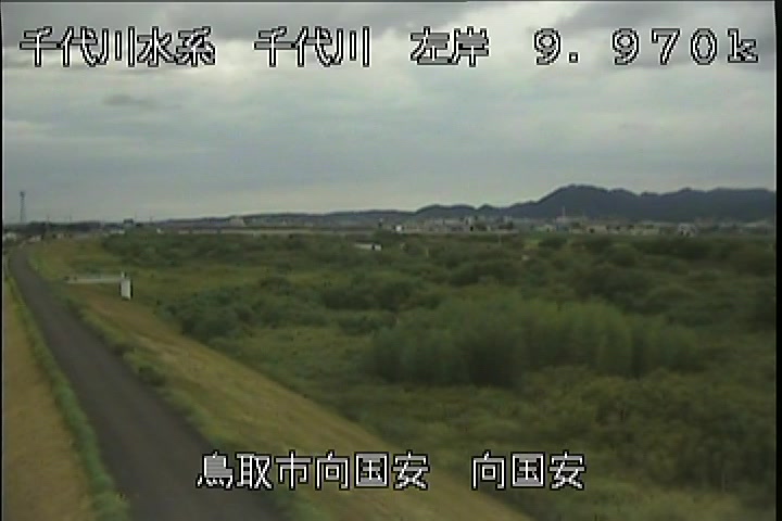 向国安