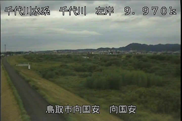 向国安