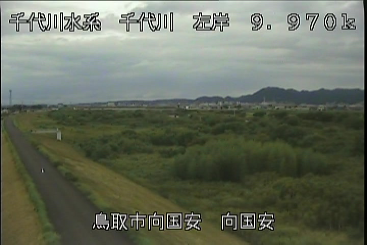 向国安