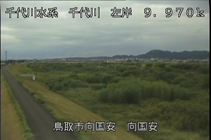 向国安