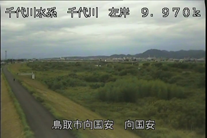 向国安