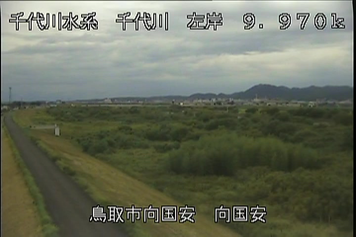 向国安