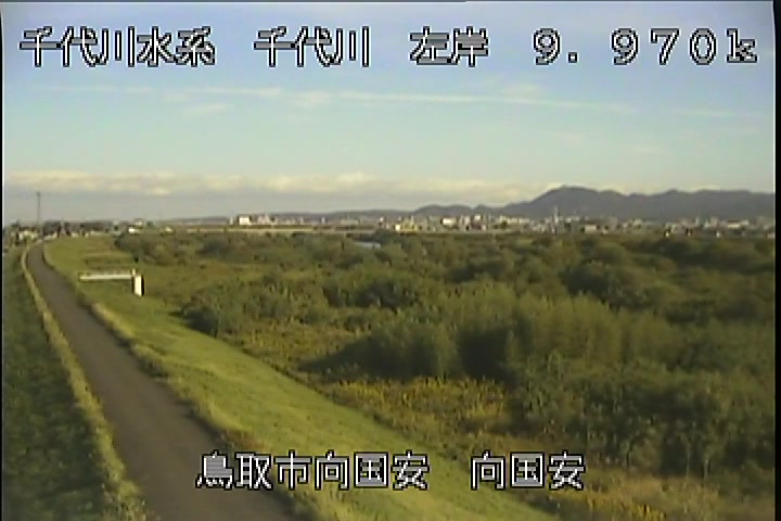向国安
