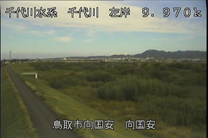 向国安