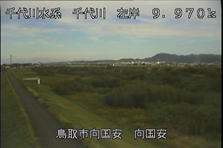向国安