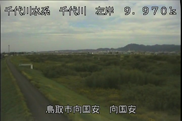 向国安