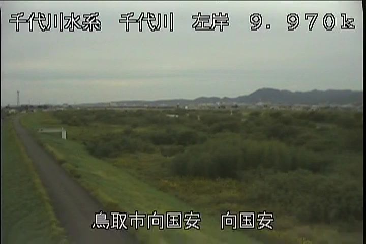 向国安