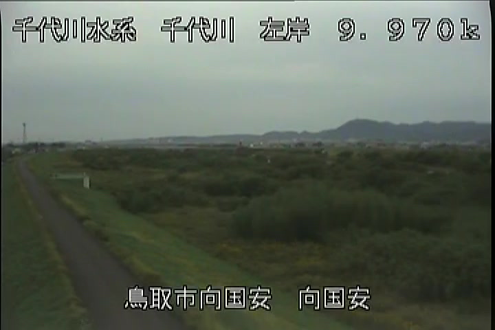 向国安