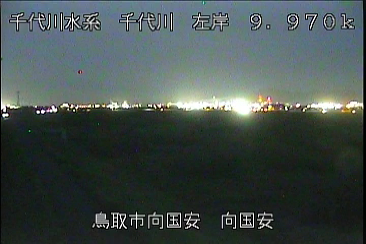 向国安