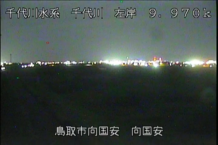 向国安