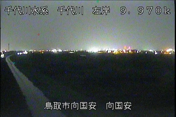 向国安