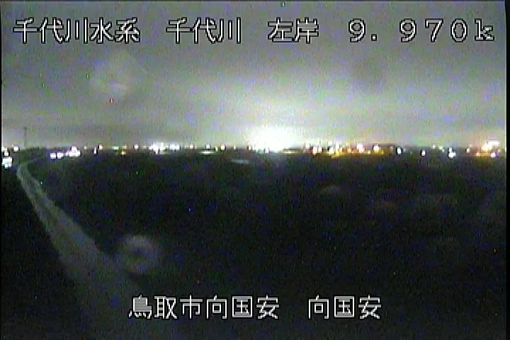 向国安