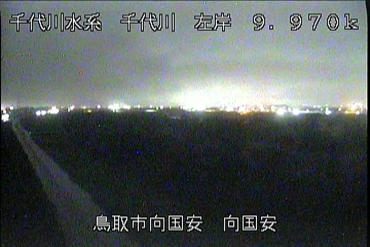 向国安