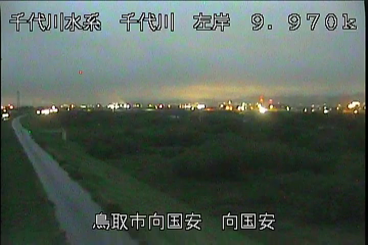 向国安