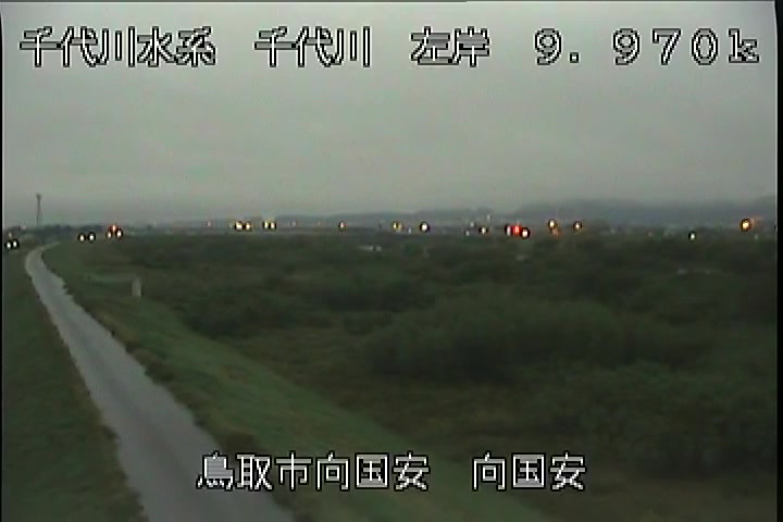 向国安