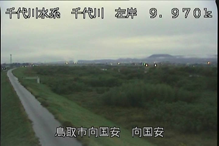 向国安
