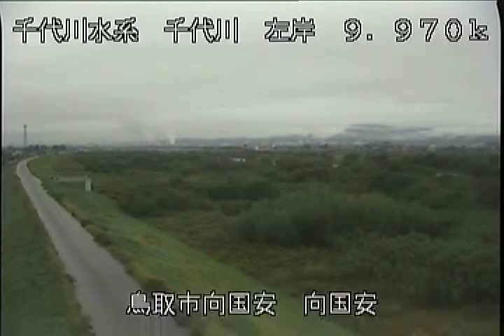 向国安